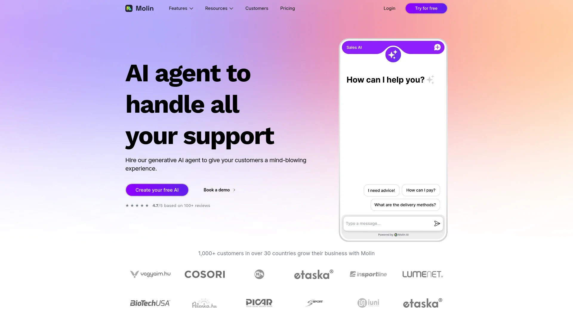 Molin AI screenshot