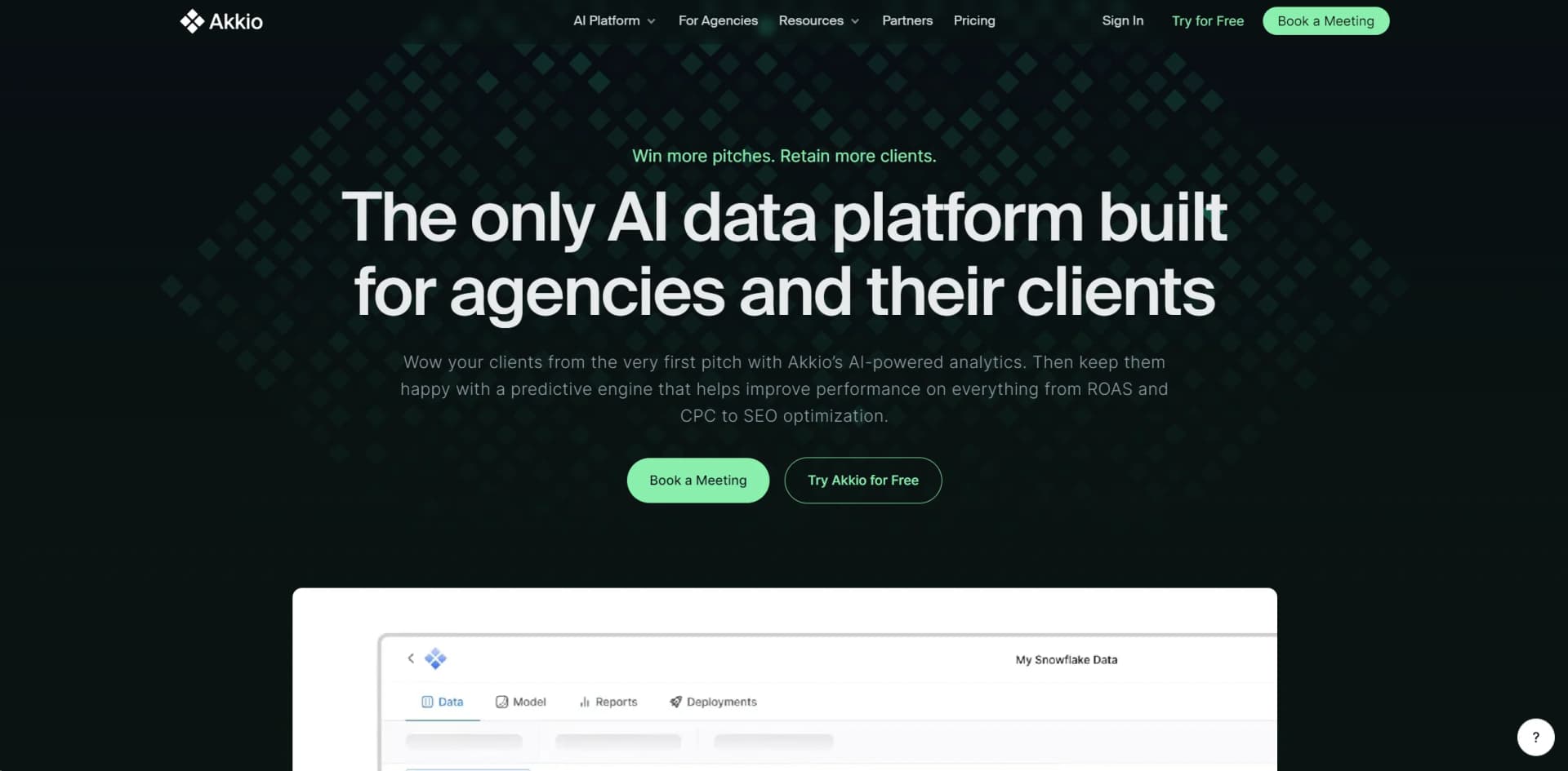 Akkio screenshot