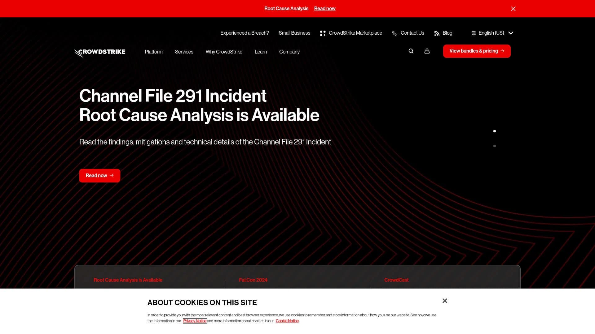 CrowdStrike screenshot