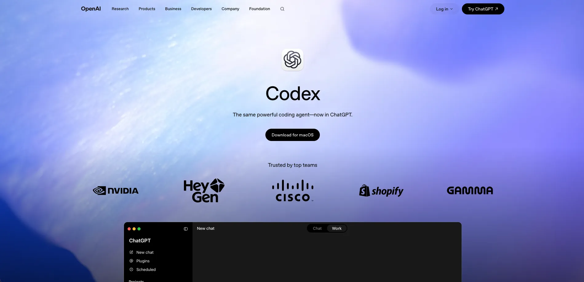 Codex screenshot