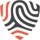 BigID logo