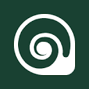 Conch Video