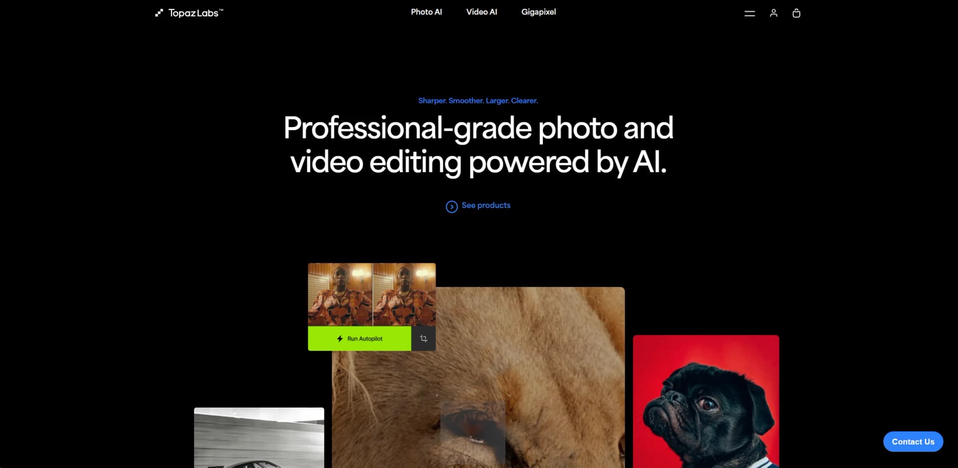 Topaz Labs screenshot