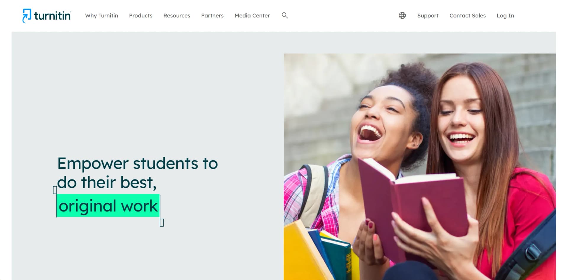 Turnitin screenshot